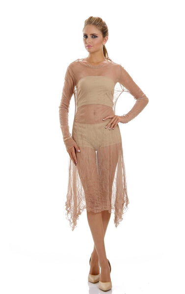Mesh Long Sleeve Dress/Slip - Shop Lev