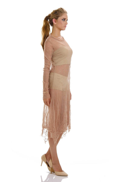 Mesh Long Sleeve Dress/Slip - Shop Lev