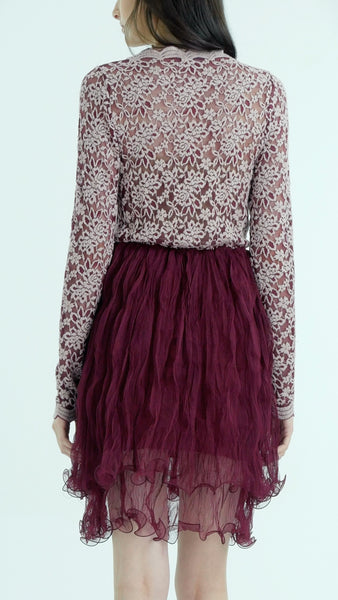 Embossed Lace Long Sleeve Dress with Crinkled Double Mesh Skirt - Shop Lev