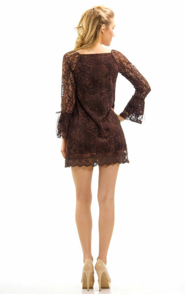 Women's Lace Mesh See-through Long Sleeve Dress - Shop Lev
